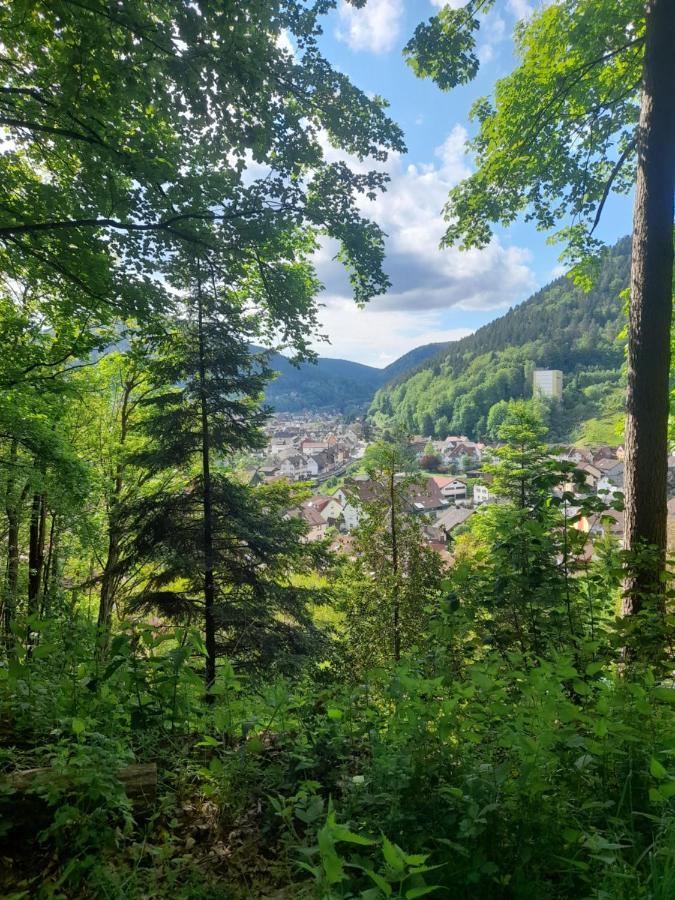 Ferienwohnung Am Enzufer Mit Balkon In Bad Wildbad Im Schwarzwald Exterior photo